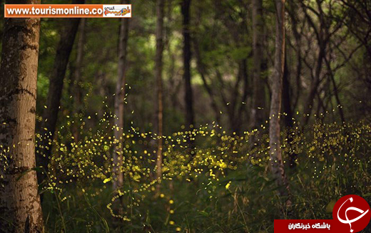 تصاویر برگزیده طبیعت، از نگاهِ نشنال جئوگرافیک