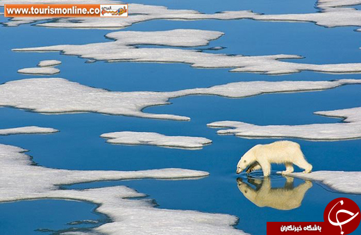تصاویر برگزیده طبیعت، از نگاهِ نشنال جئوگرافیک