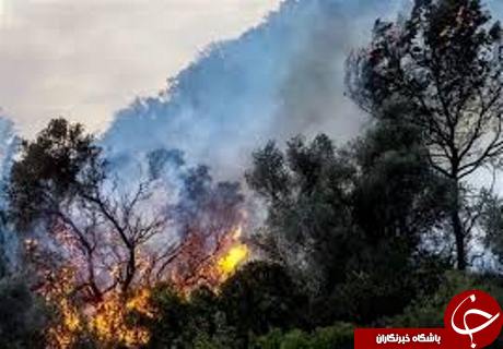 مهمترین حوادث هفته گذشته
