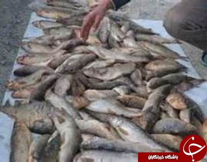 مهمترین حوادث هفته گذشته