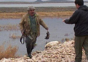 تلف شدن پرندگان در مهاباد