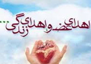 کهگیلویه وبویراحمد رتبه نخست اهدای عضو در کشور است
