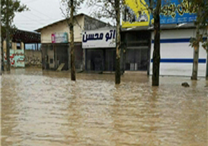 وارد شدن خسارات جدی به برخی روستاهای دیشموک