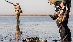 لغو پروانه شکار پرندگان وحشی در استان گلستان