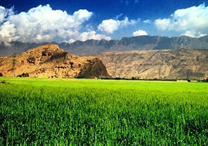 راه اندازی مرکز تحقیقات کشاورزی درجهرم