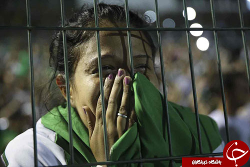 از تاکسی&zwnj;های سه&zwnj;چرخه در پکن تا شیر دادن به جوجه تیغی////////////////////