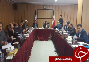 تشکیل ستاد مقابله با آنفلوانزای پرندگان در آبیک