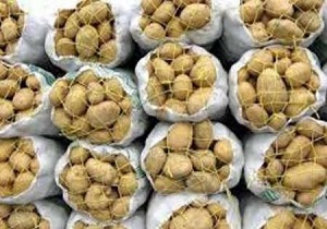 فعالیت خط تولید نشاسته سیب‌زمینی برای نخستین بار در اردبیل