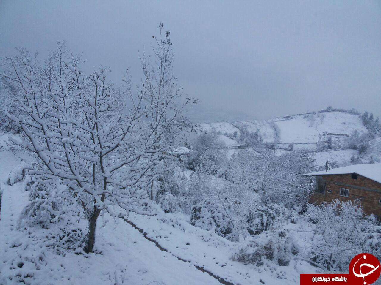 نمایی زیبا از منطقه برفی بالاکولا + تصاویر