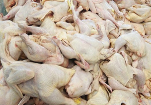 افزایش قیمت مرغ وگوشت در اصفهان