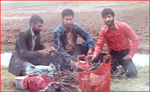مادر می&zwnj;دانست فقط 27 بهار مهمان اوست
