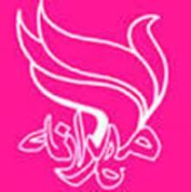 گسترش همکاری با انجمن مهرانه در استان