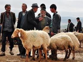 احداث میدان خرید و فروش دام گمیشان؛ بزودی