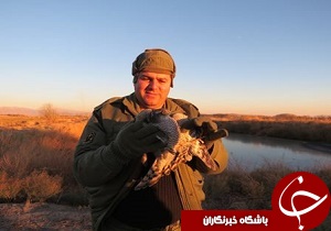 رها سازی دو بهله پرنده شکاری