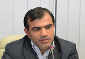تولید 250 میلیاردی فرش در سال 94/  توجه به مشاغل کوچک موجب رونق اقتصادی است