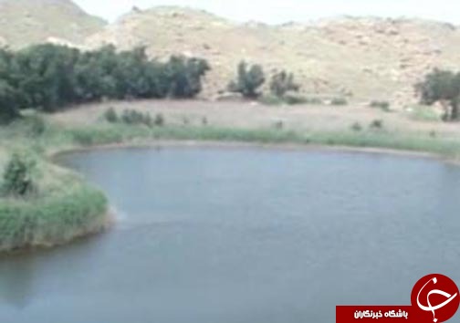از سالروز آسمانی شدن سیمرغ آسمان&zwnj; ایران تا نابودی تالاب&zwnj;های لرستان+ فیلم