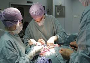 مصدوم تیرخورده دهدشتی از مرگ حتمی نجات یافت.