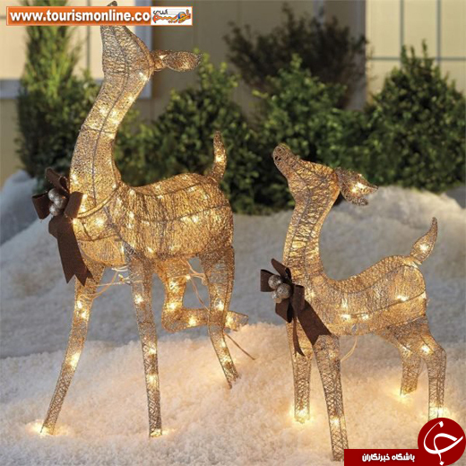 عکس/ دکوراسیونی متفاوت برای کریسمس