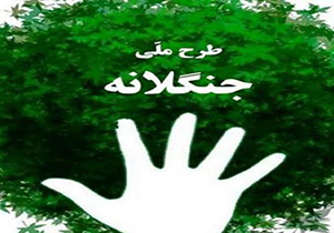 اجرای طرح ملی جنگلانه در فارس