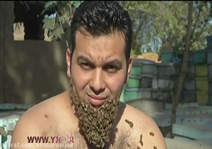 مردي با ريش زنبوري + فیلم