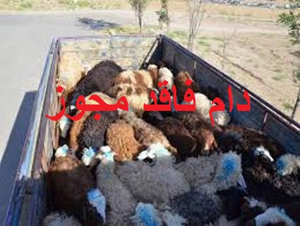 مهمترین حوادث سه شنبه 16 آذر در گلستان
