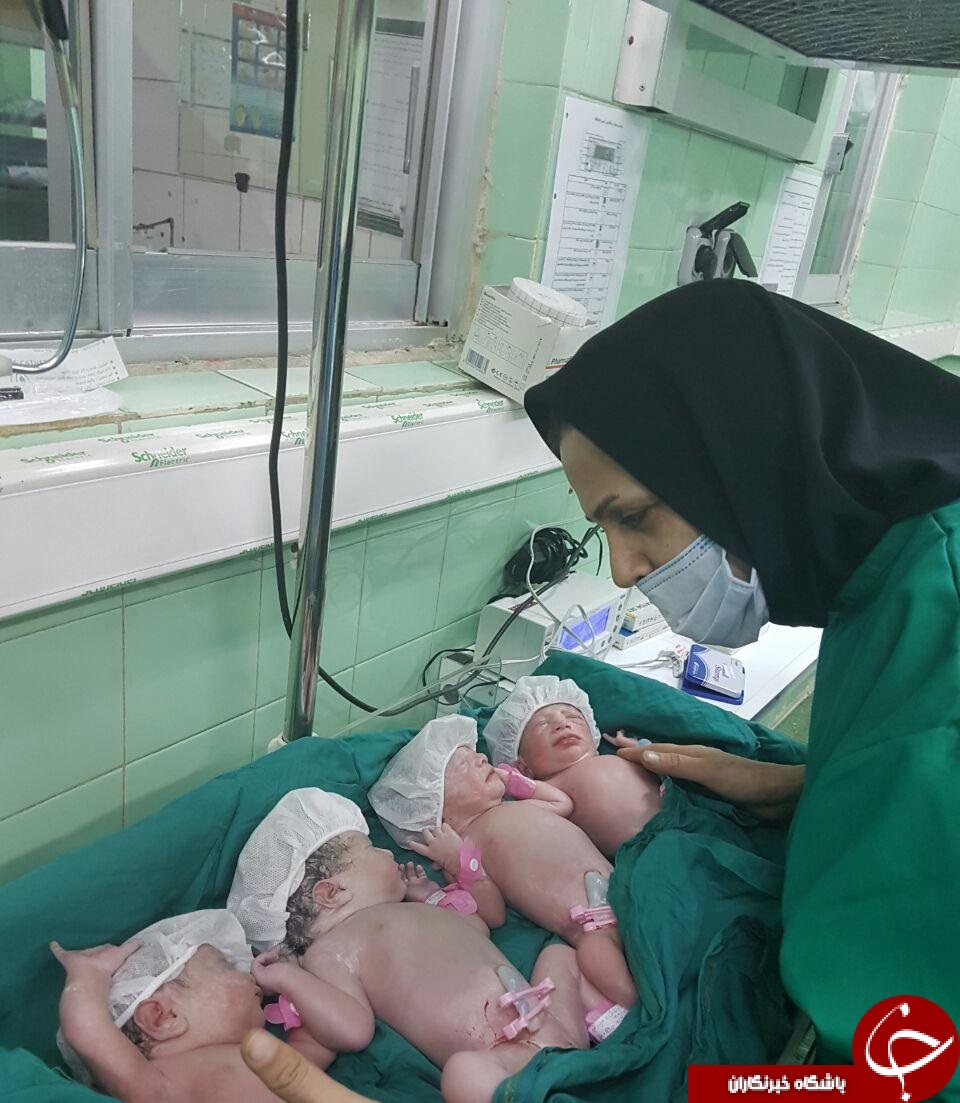 تولد نوزادان چهارقلو قمی+تصاویر