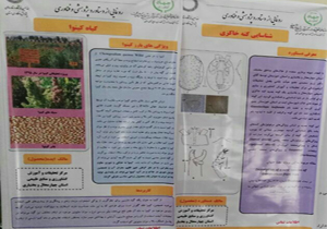 رونمایی از 2 دستاورد تحقیقاتی در حوزه کشاورزی و منابع طبیعی