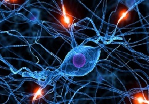 آموزش بیش از 600 مقاله در سمینار علوم اعصاب بالینی