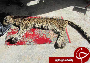 نگاهی گذرا به مهمترین رویدادهای 17 آذر در مازندران