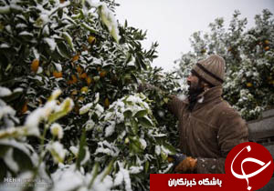 نگاهی گذرا به مهمترین رویدادهای 17 آذر در مازندران