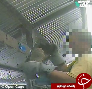 سمورهایی که تبدیل به کیف و کفش می شوند + تصاویر