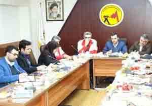 خسارت میلیاردی برف به شبکه های توزیع برق