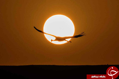 از کمک به زلزله&zwnj;زدگان اندونزی تا حراج لباس شخصی پرنسس دیانا