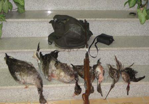 دستگیری شکارچی متخلف در مهاباد