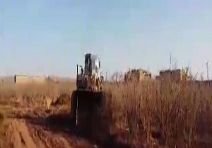 سرمازدگی باغات میوه در ساوه! + فیلم