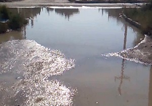 فاضلاب دردسرساز برای مردم خرمشهر + فیلم