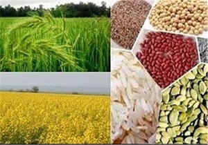 ارائه 790 میلیارد ریال تسهیلات رونق تولید برای ۱۴۲ طرح کشاورزی در اردبیل