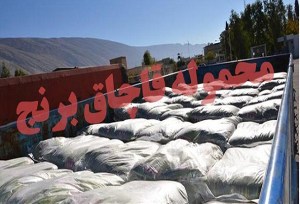 کشف 23 تن برنج قاچاق در اشکذر