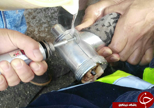 سرخط جذاب ترین خبرهای این هفته فارس