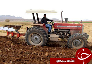 آغاز کشت گندم در خنج