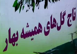 تهیه تاج گل‌های قد کشیده به دست هنرمندان قد خمیده + فیلم