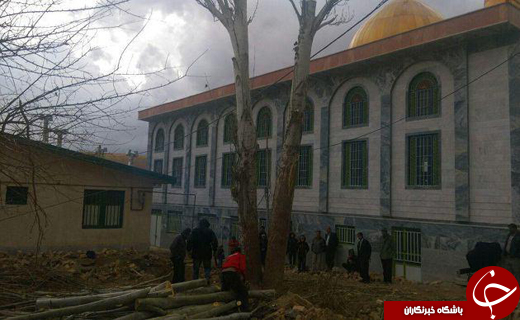 درختانی که به خاطر توسعه  ساله یک خانه بهداشت قطع شدند + تصاویر