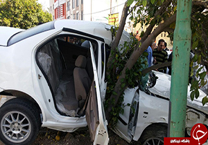 شهروندخبرنگار: تصادف شدید سمند با درخت در بلوار معلم جهرم + تصاویر
