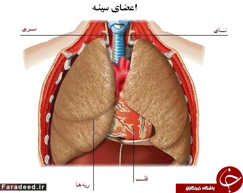 درد قفسه سینه چه زمانی خطرناک است؟