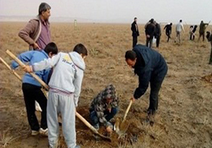 طرح ملی جنگلانه در یاسوج اجرا شد