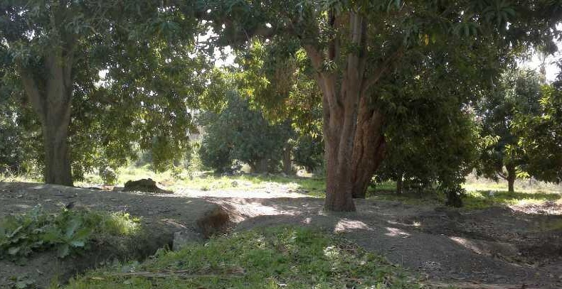 باغ تفریحی در کنار آبگرم در کوهستان روضه ارم