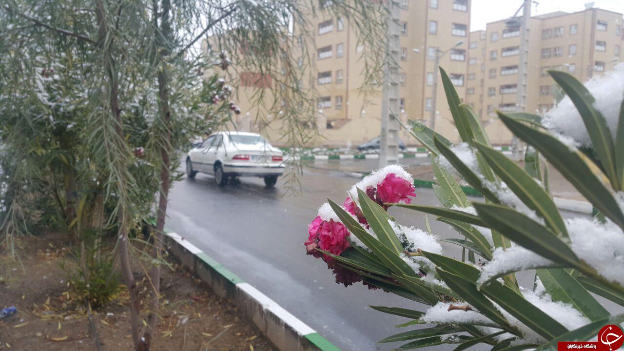 یک روز برفی به روایت تصویر