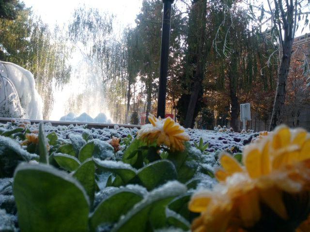 بارش برف پاییزی در مشهد + تصاویر