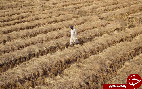 از آبشار مصنوعی در برج ترامپ تا تصادف زنجیره&zwnj;ای 37 خودرو