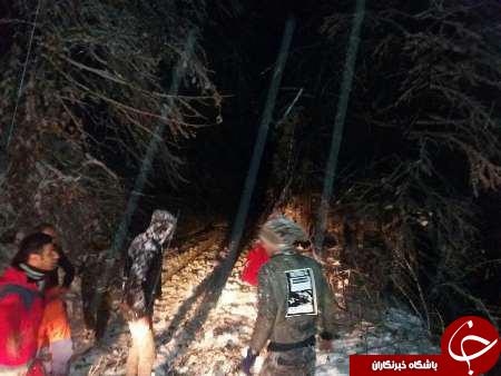 نجات 4 نفر در جنگل پس از 8 ساعت + تصاویر